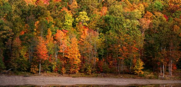 Best Places to See Fall Foliage