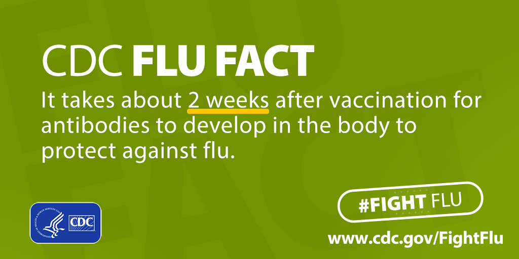 Know about flu season