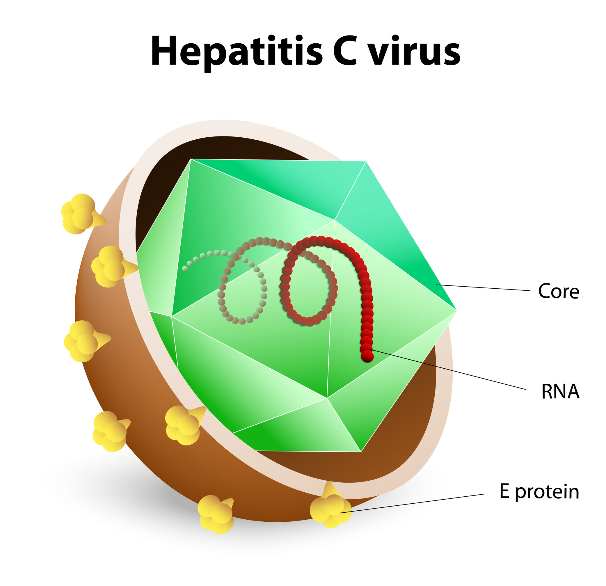 hepatitis c outbreak